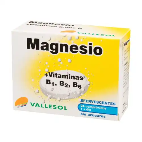 Magnesium and Vitamins B1,2,6 24 tablets Vallesol Must Have