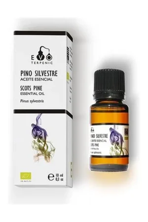 Wild Pine Essential Oil 10 ml of essential oil Terpenic Buy Online
