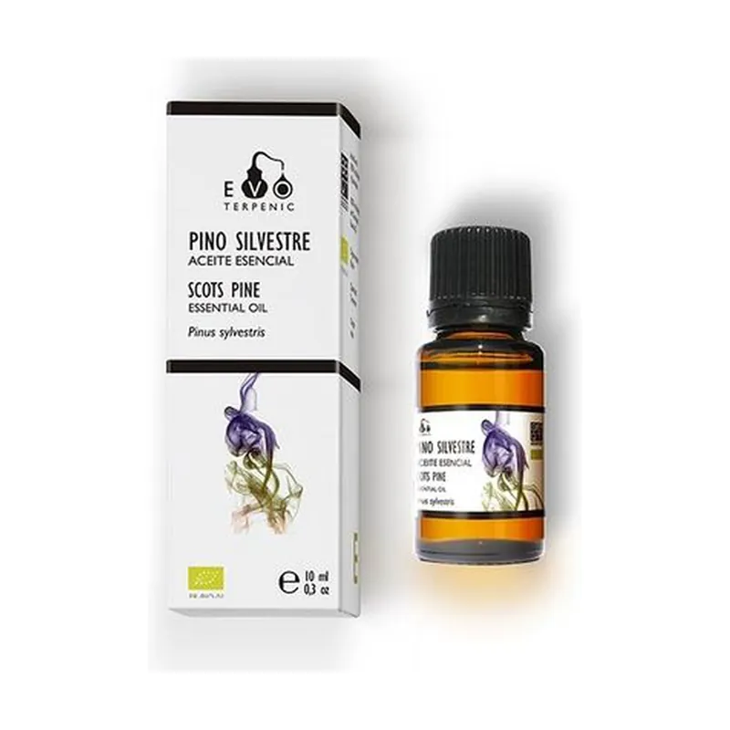 Wild Pine Essential Oil 10 ml of essential oil Terpenic Buy Online