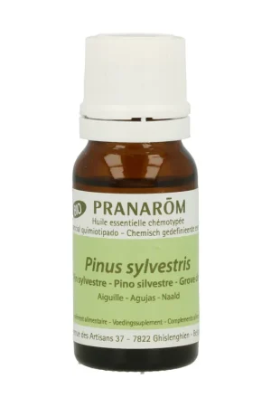 Wild Pine Essential Oil 10 ml of essential oil Pranarom Limited Time