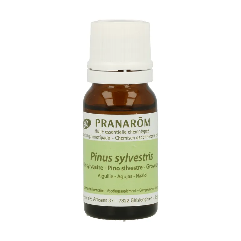 Wild Pine Essential Oil 10 ml of essential oil Pranarom Limited Time