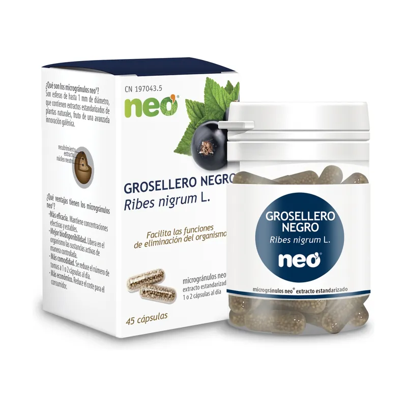 Blackcurrant 45 capsules Neo High Quality