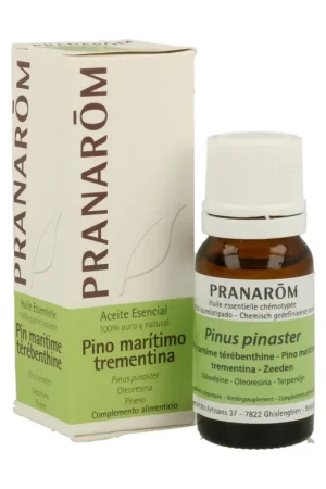 Buy Direct Essential oil of maritime pine 10 ml of essential oil Pranarom