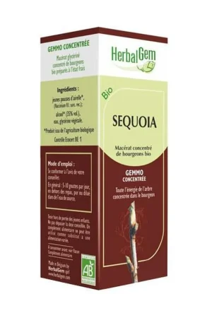 Seasonal Sale Giant Sequoia 50 ml Herbalgem