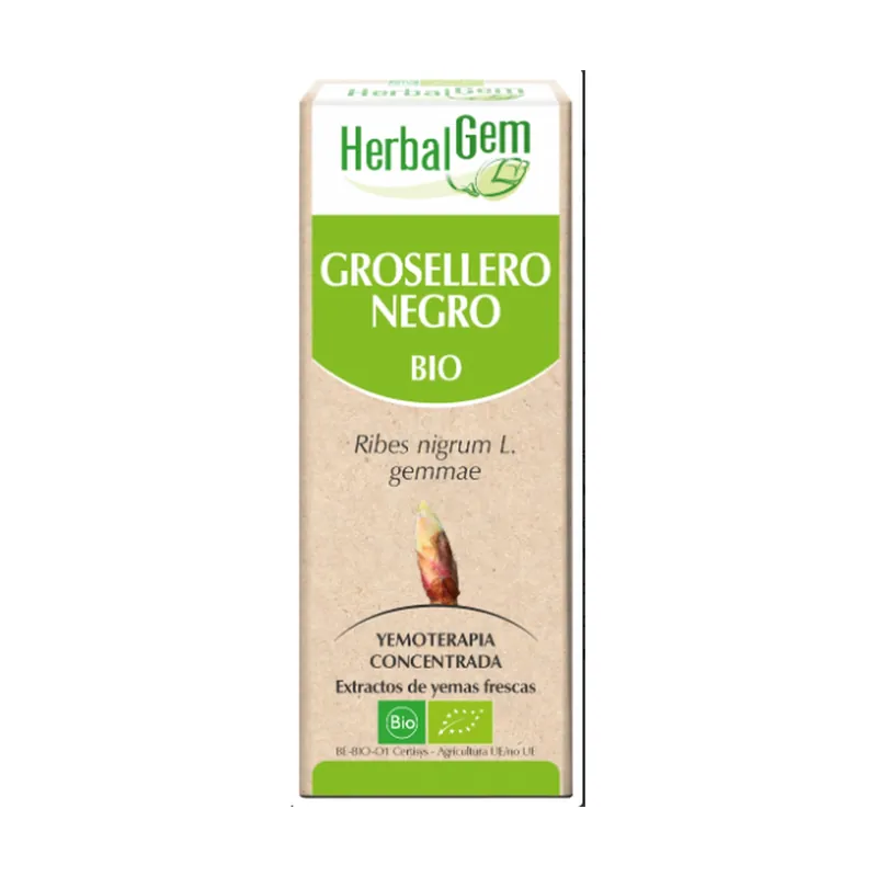 While Supplies Last Macerated Glycerinated Blackcurrant 50 ml Herbalgem
