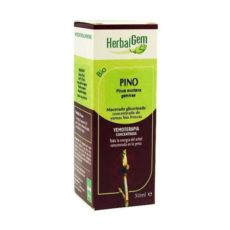 Glycerinated Macerated Pine 50 ml Herbalgem Fast Shipping