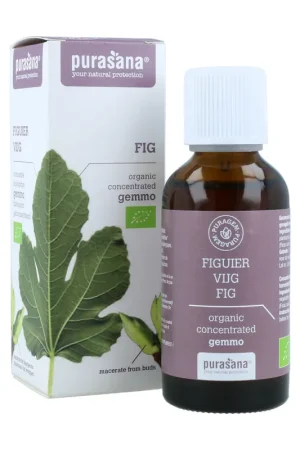 Fig tree 50 ml Purasana Sale