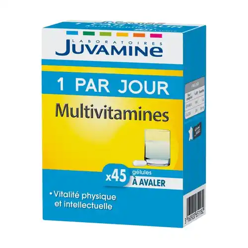 1 Per Day - Multivitamins 45 capsules Laboratoires Juvamine Premium