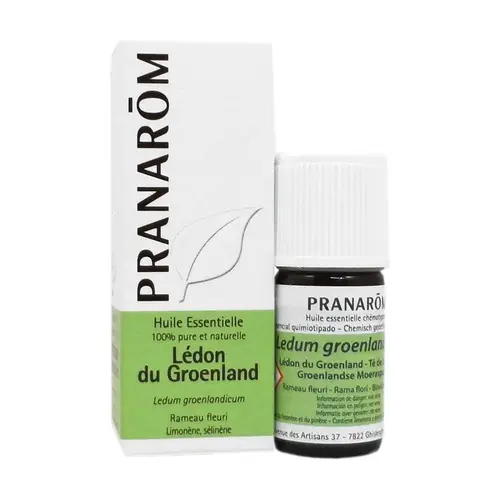 Greenland Ledon essential oil - flowering twig 5 ml of essential oil Pranarom While Supplies Last
