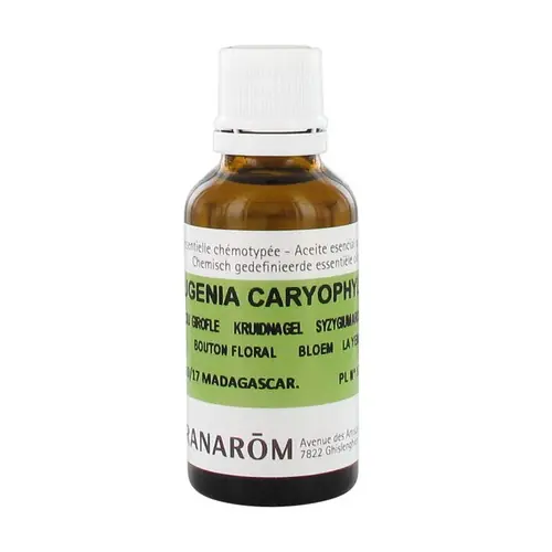 Trending Chemotyped essential oil Clove - flower bud 100 ml of essential oil Pranarom
