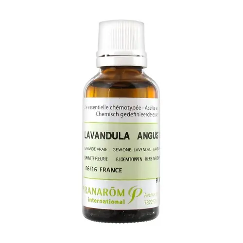 Exclusive Offer Chemotyped essential oil Lavender true - flowering top 30 ml of essential oil Pranarom