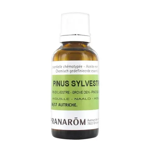 New Release Chemotyped Scots Pine essential oil - needle 30 ml of essential oil Pranarom
