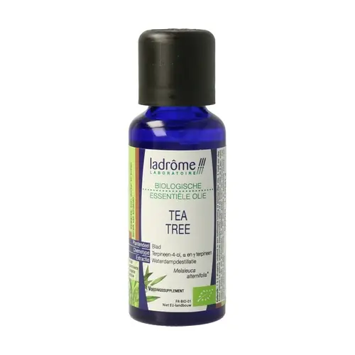 Tea tree 30 ml of essential oil Ladrome Holiday Sale