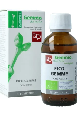 Sale Fico Gemme (Ficus carica) 50 ml Fitomedical