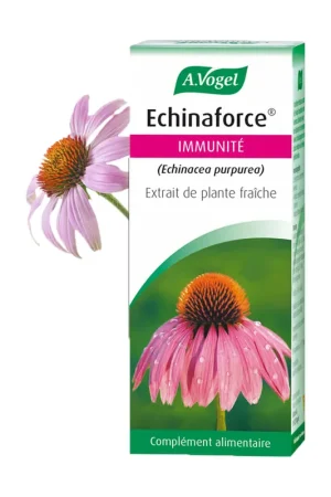 One Day Deal Echinacea 100 ml 100 ml A.Vogel