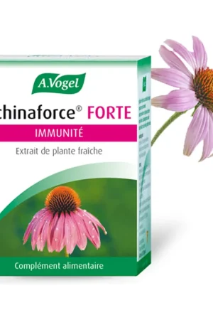 Echinaforce Forte tablets 30 Sublingual pills A.Vogel Sale