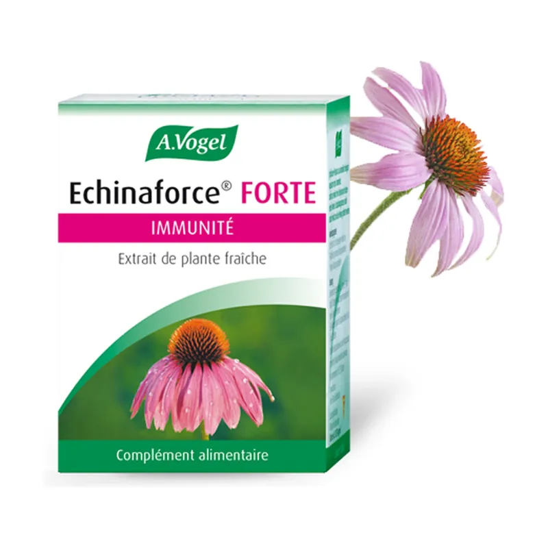 Echinaforce Forte tablets 30 Sublingual pills A.Vogel Sale