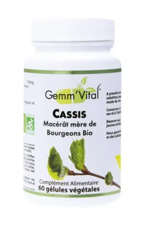 Authentic Blackcurrant bud - Gemmotherapy 60 vegetable capsules Vitall +