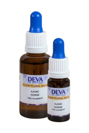 Ajonc - Compte-Goutte 10 ml of floral elixir Deva In Demand