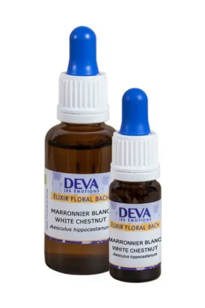 White Chestnut Tree - Teardrop 10 ml of floral elixir Deva Crafted