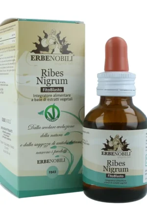 Today Only black currant 50 ml Erbenobili