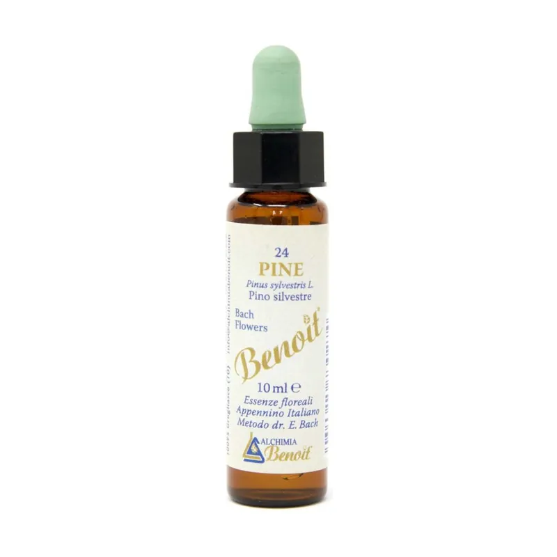 Super Sale Bach flowers 24 Pine 10 ml of floral elixir Benoit