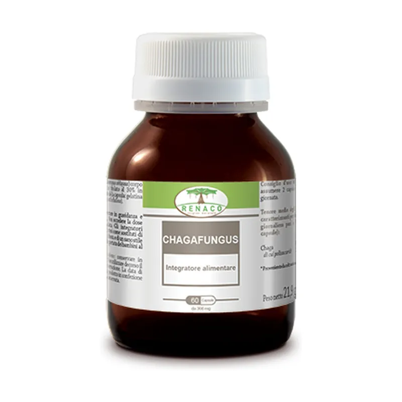 Today Only Chagafungus 60 tablets of 366mg Renaco