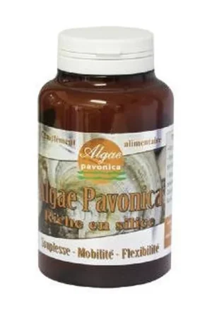 Algae Pavonica 60 capsules Vecteur Energy Brand New