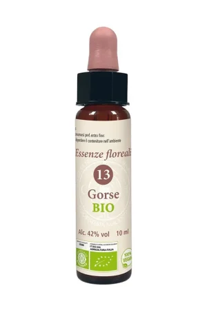 13 Gorse Floral Essences 10 ml Erboristeria Magentina Free Returns