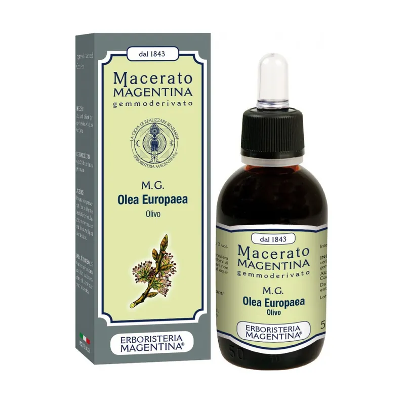 Fast Shipping Olea Europaea Macerated 1 L Erboristeria Magentina