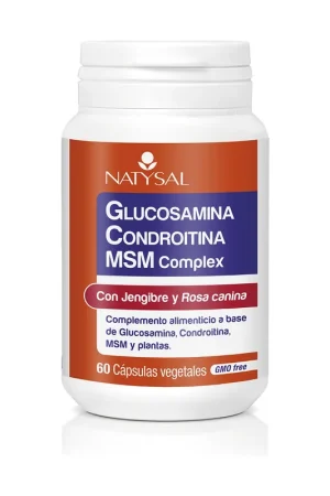 Glucosamine Chondroitin Msm Complex 60 capsules Natysal Clearance