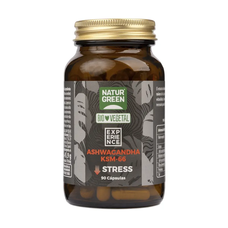 Memory brain Bio 90 capsules NaturGreen Buy Online