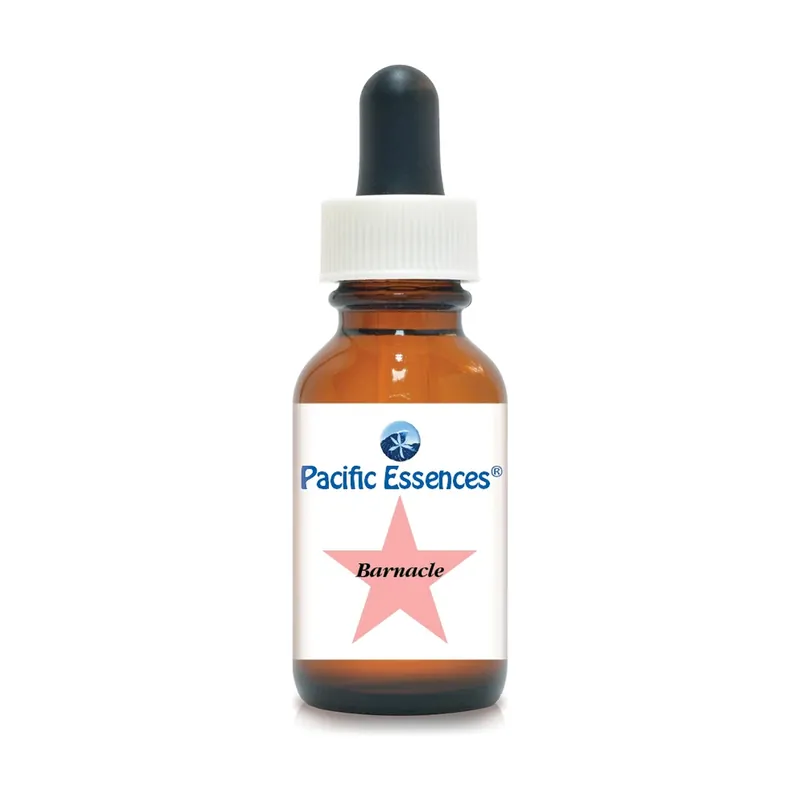 Get Yours Barnacle 7.5 ml Pacific Essences