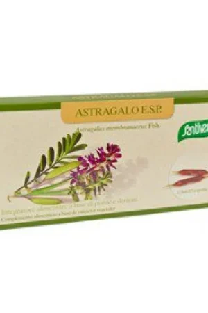 Secure Checkout Astragalus 12 ampoules of 5ml Santiveri