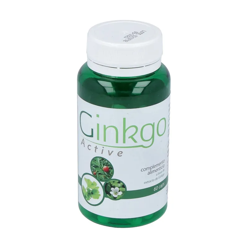 Ginkgo activates circulation 60 capsules of 629mg Saludalkalina Professional Grade