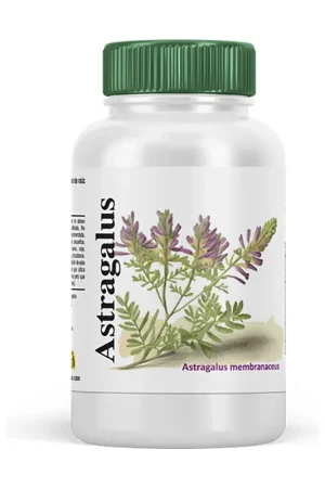 Mega Sale astragalus root extract 180 capsules Vbyotics