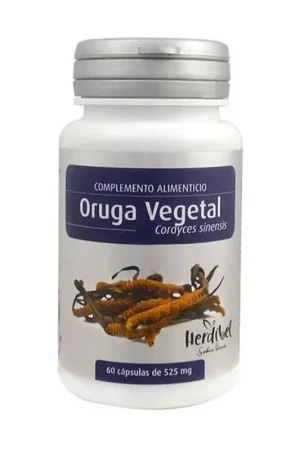 Plant caterpillar liver and immune system 60 capsules of 525mg Herdibel Same Day Shipping