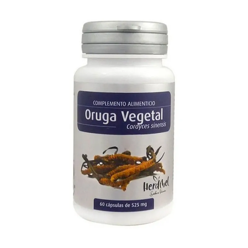 Plant caterpillar liver and immune system 60 capsules of 525mg Herdibel Same Day Shipping
