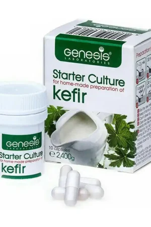 Kefir ferment capsules 10 capsules Génesis Probióticos Budget