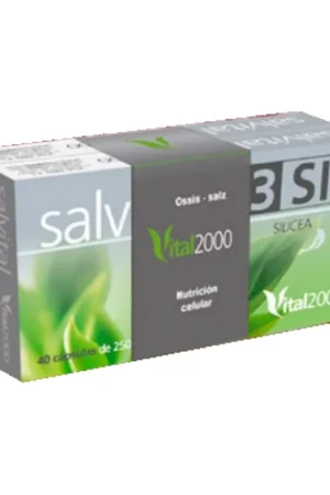 Reduced Price Pack ossis - salz 80 capsules Vital 2000