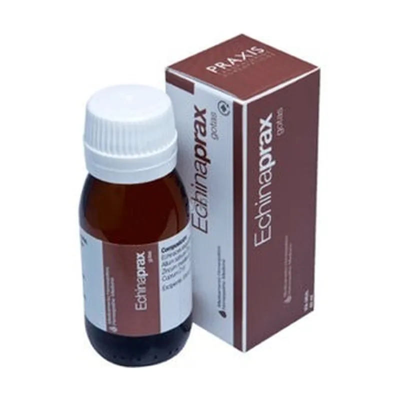 Same Day Shipping Echinaprax respiratory tract 60 ml Praxis