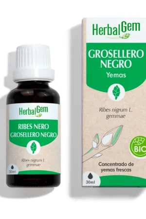 One Day Deal Blackcurrant drops Bio 30 ml Herbalgem