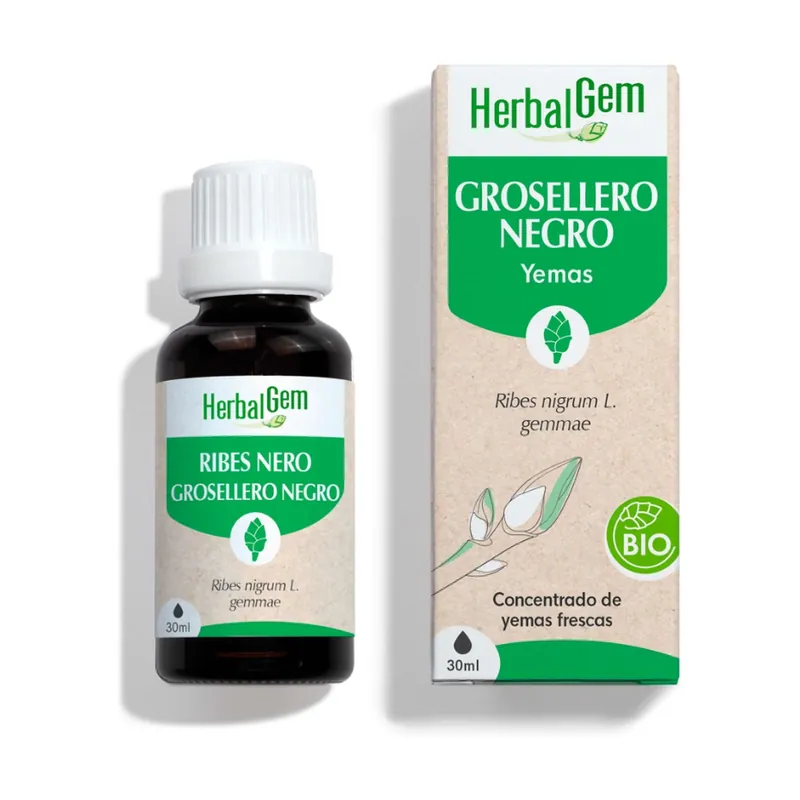 One Day Deal Blackcurrant drops Bio 30 ml Herbalgem