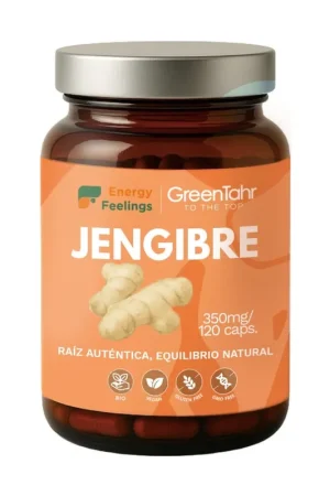 Low Price Organic ginger 90 capsules of 350mg Energy Feelings